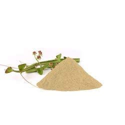 BETT Hadjod Powder/Hadjora Powder / हॅडजोड पावडर/Vajravalli Powder/Cissus Quadrangularis (500 GMS)