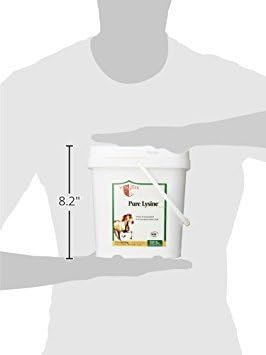 Vita Flex Pure Lysine 151 Day Supply 4 lbs