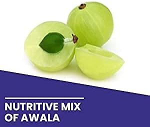 Astha Kamdhenu Awala Powder 100gm