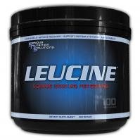 Serious Nutrition Solutions Leucine - 500 Grams
