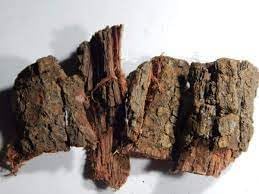 AM Kachnar Chhal - Kachnar Bark - Kachnaar Chaal - Kanchnar Chhal Bauhinia Variegata (1 Kg)