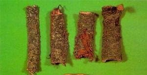 Kanchnar Guggul (Thyroid-Glandular Harmony)