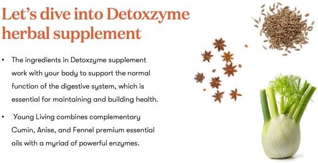 Young Living Detoxzyme 90 Capsules | Digestive Health Support | Helps Nutrient Absorption | Non-GMO Soy-Free &amp Preservative-Free Enzyme Formula for Comfortable Digestion
