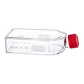 658940 CELLCOAT T75 Tissue Culture Flask Canted Neck with Filter Cap Coated with Poly-L-Lysine 250 mL Volume (Pack of 50)