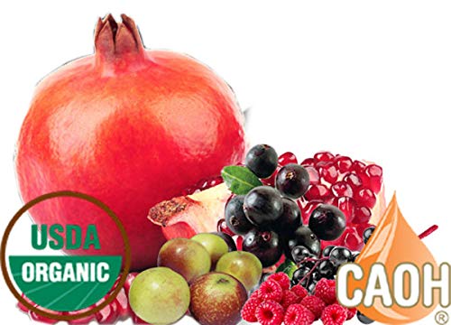 Acai Max - A Healthy Organic Acai Juice Blend From CAOH (1-32 oz Bottle)