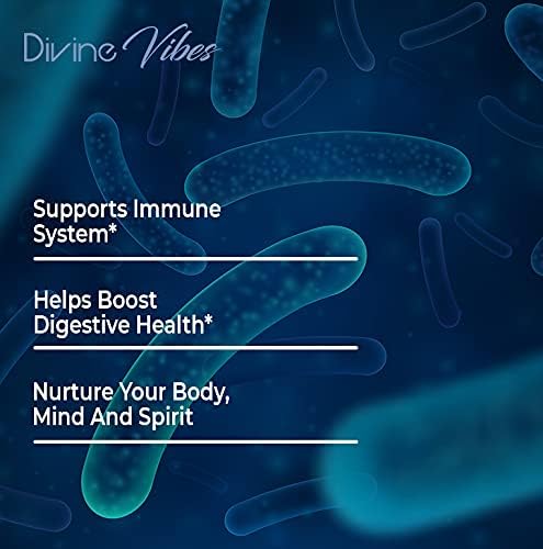Divine Vibes Probiotics 40 Billion CFU - Approved Probiotics for Women Probiotics for Men and Adults Natural Shelf Stable Probiotic Supplement with Prebiotic Acidophilus Probiotic 60 Capsules