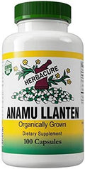 Anamu LLanten 550mg (1200mg Capsules per serving) - Organically Grown - 100