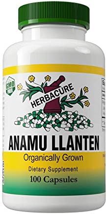 Anamu LLanten 550mg (1200mg Capsules per serving) - Organically Grown - 100