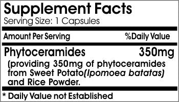 No Wheat Phytoceramides 350mg // 200 Capsules // Pure // by PureControl Supplements