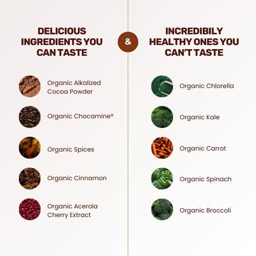 Dark Chocolate Superfood Powder - 17 Organic Superfoods + Prebiotic &amp Probiotics + More - Keto Friendly - Supports Positive Mood Gut Health - Vegan Gluten Free Non-GMO - 30 Day Supply
