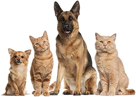 Dog Dry Skin Treats - Omega 3 Fatty ACIDS for Pets - Dogs and Cats - Premium Health - Omega 3 for Puppies - 360 Softgels (2 Bottles)