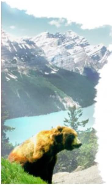 Canadian Liver Gold Forte 300 Capsules Great for Chronic Abnormal Lliver Function
