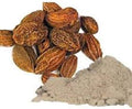 – Rangari Harada Powder/Haritaki/Myrobalan/Hirdo/Pulo Harda/Harre/Harad/Terminalia Chebula/Harar/Katukka/Karaka/हिरडा पावडर – 100g