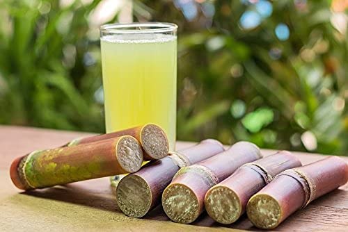 Yeshvi NATURAL Aam Panna &amp Sugarcane Juice Drink Powder Combo Pack Instant Drink Mix Healthy Drink Fruit Juice 300gm