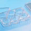 657930 Clear Polystyrene CELLCOAT Microplate with Lid Coated with Poly-L-Lysine Flat Bottom Chimney Style 6 Well (Pack of 50)