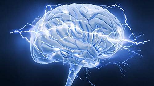 Memory Hack - Acceleral Cognitive Brain Formula - Support Mental Endurance and Focus - with Taurine &amp Other Powerful Natural Ingredients - Nootropic Brain Booster