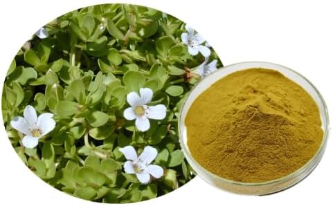 11LB Purslane Extract Powder - Portulaca Oleracea Extract