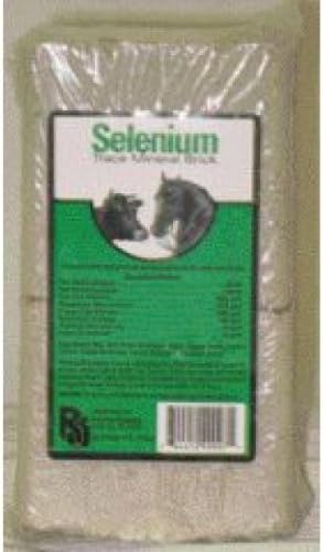 Selenium Mineral Brick - 4 Lbs.