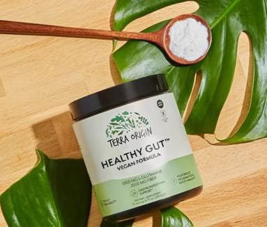 Healthy Gut Vegan Formula | with L-Glutamine and Clinically Proven ingredients | Supports Gut Permeability gastrointestinal Support Helps Alleviate Stomach discomfort and Boost Immunity*