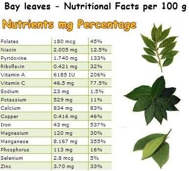 Mediterranean Bay Leaf Bay Laurel Live Plant. Standard Variety - Laurus Nobilis. Live Plant. Fragrant Fresh Edible. Best for Ground Planting Outdoor. (4 Bay Laurel Plants in Sac)