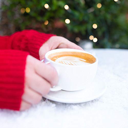 Barnie's Santa's White Christmas Coffee Pods Compatible with Keurig Brewers - A Festive Holiday Coffee Blend of Coconut Vanilla and Caramel Flavors - 48 count