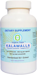 (Calaguala) with Polypodium Leucotomos for Immune System Support Highest Potency 50:1 Extract 400mg. (120 Veggie Caps)