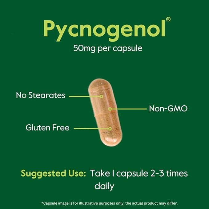 BESTVITE Pycnogenol 50mg (60 Capsules) - French Maritime Pine Bark Extract - No Stearates - Gluten Free - Non GMO