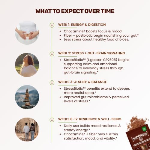 Dark Chocolate Superfood Powder - 17 Organic Superfoods + Prebiotic &amp Probiotics + More - Keto Friendly - Supports Positive Mood Gut Health - Vegan Gluten Free Non-GMO - 30 Day Supply