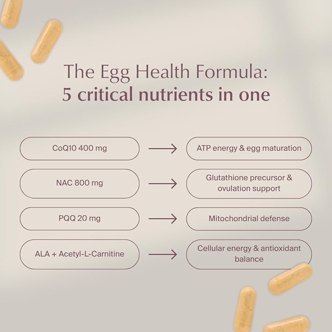 WeNatal Egg Quality+ Supplement. CoQ10 NAC PQQ L-Carnitine Alpha Lipoic Acid Methylated Folate B12 Zinc Vitamin C Supports Egg Health Fertility and Mitochondria 90 Capsules