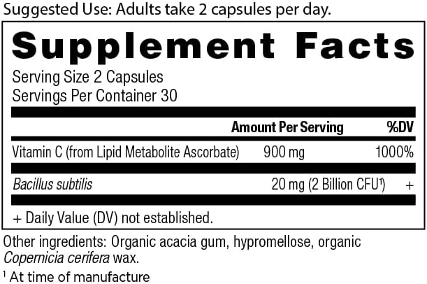 Ancient Nutrition Probiotics and Vitamin C Supplement Supports Healthy Immune System and Gut Health Made Without GMOs Superfoods Supplement Paleo and Keto Friendly 30 Servings