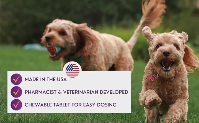 Comprehensive Liver Supplement (2 Pack - 60ct) Combining Same SPC Silybin A+B Gluathione Chew Tabs for Dogs 30Ct (2X Small - Medium)