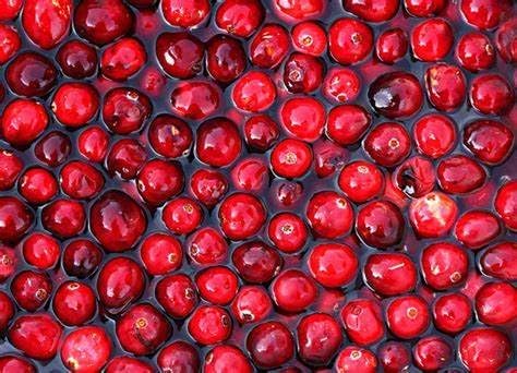uric acid foods - URIC ACID - uric acid crystals joints uric acid test uric acid control uric acid formation foods that lower uric acid tart cherry extract cranberry juice cranberry 2B 120Cap