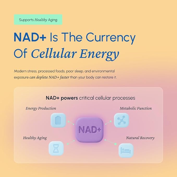 NAD+ Resveratrol Natural Antioxidant Cellular Energy Supplement 600mg 60 Capsules Made in USA