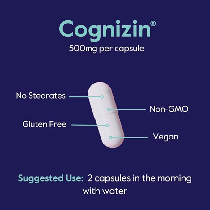 BESTVITE Cognizin Citicoline 500mg (120 Vegetarian Capsules) (60x2) - Clinically Studied Premium Choline Nootropic - No Stearates - Vegan - Gluten Free - Brain Supplements for Memory and Focus