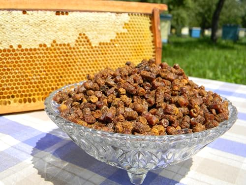 Fresh 100% Organic Bee Bread Perga Ambrosia Naturally Fermented Pollen 3.53 Ounce / 100g. Excellent Quality Vacuumized Packaging