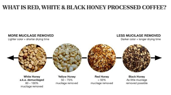 Tesoros Del Pais Green Unroasted Coffee Beans Ahuachapan El Salvador Single Estate High Elevation (Wet Milled 5 lb)