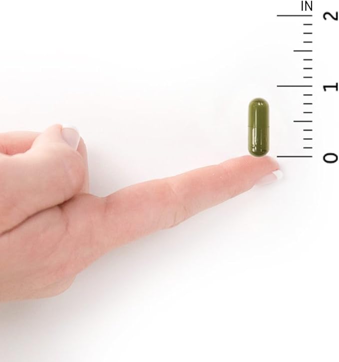 Garden of Life Vitamin D Vitamin Code Raw D3 Vitamin D 2000 IU Raw Whole Food D3 Supplements with Chlorella Fruit Veggies &amp Probiotics for Bone &amp Immune Health 120 Vegetarian Capsules