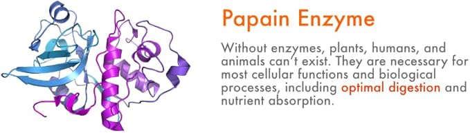 Royal Tropics Green Papaya Powder. Enzymes for Digestive Support.