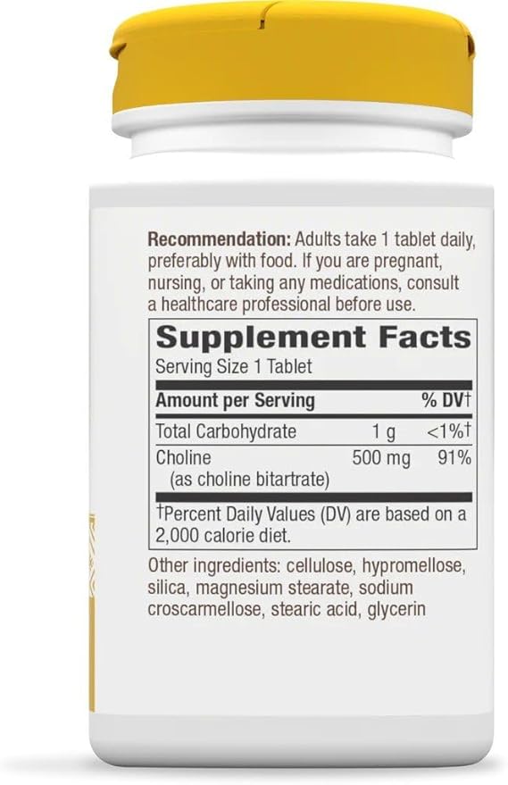 Nature's Way Choline 500 mg 100 Tablets Pack of 2