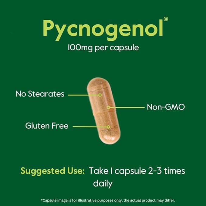 BESTVITE Pycnogenol 100mg (60 Capsules) - French Maritime Pine Bark Extract - No Stearates - Gluten Free - Non GMO