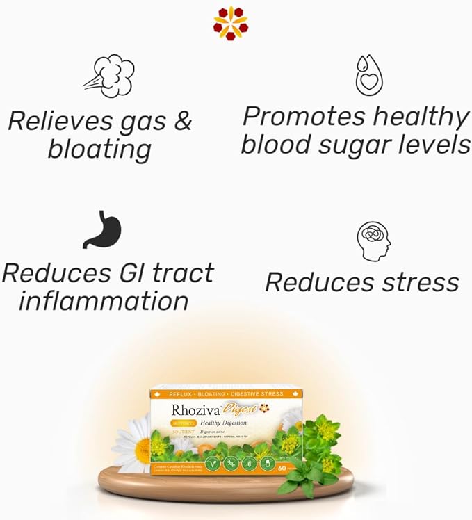 Digest Gut Health Supplement with Digestive Enzymes for Men &amp Women - Probiotics &amp Prebiotics for Gut Health Supplement - Daily Synbiotic Gut Vitamins for Men &amp Women - 60 Capsules