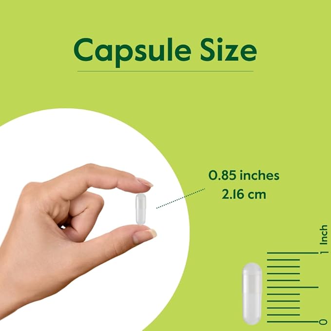 BESTVITE Fucoidan Extract 500mg (Standardized to 85% Fucoidan) (120 Vegetarian Capsules) No Fillers - No Stearates - No Flow Agents