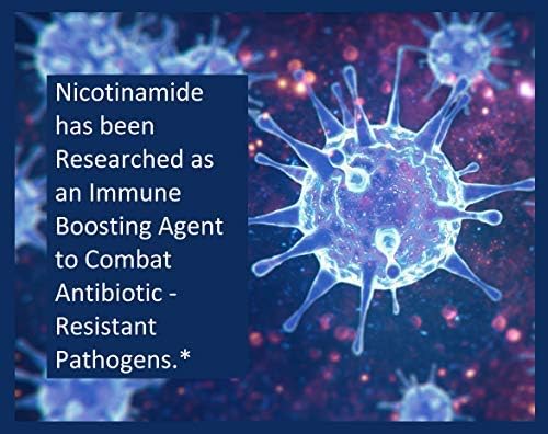 200 Count! B3 Nicotinamide 500 mg Effective Flush-Free Niacin. Energy Booster Cell Regenerator Supports Cognitive Decline Anti-Aging and Helps Breaks Down Carbs &amp Fats (200 Ct)