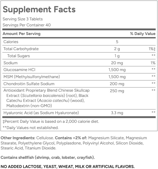 21St Century Glucosamine Chondroitin Advanced with Msm - 120 Tablets (Pack of 2)