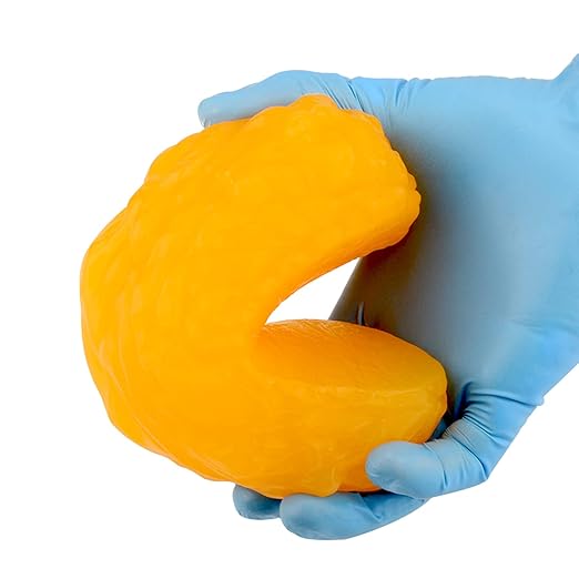 RONTEN 1 lb Human Fat Anatomical Model A True Replica of Human Body Fat Perfect for Nutritionists Fitness Enthusiasts to Display