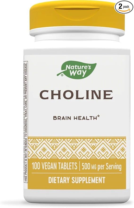 Nature's Way Choline 500 mg 100 Tablets Pack of 2