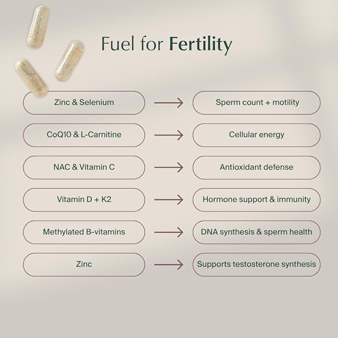 WeNatal for Him Prenatal Multivitamin with Methylated Folate Zinc CoQ10 NAC L-Carnitine Vitamin C &amp E Selenium Supports Sperm Health Motility Morphology Vegan Non-GMO 90 Capsules