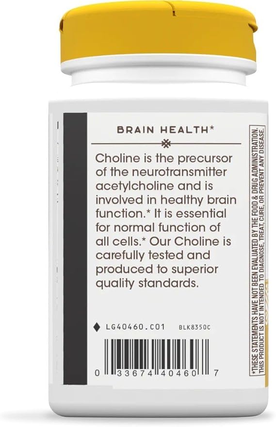 Nature's Way Choline 500 mg 100 Tablets Pack of 2