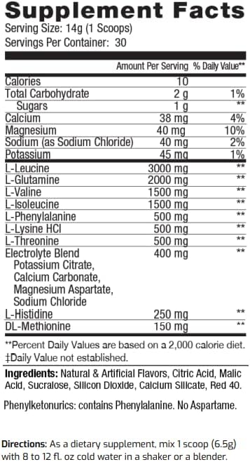 Amino Powder - Pre and Post Workout with Electrolytes - BCAA 2:1:1 Ratio Amino Acids Superior Taste Tested and Certified Fruit Punch Slushie 30 Servings