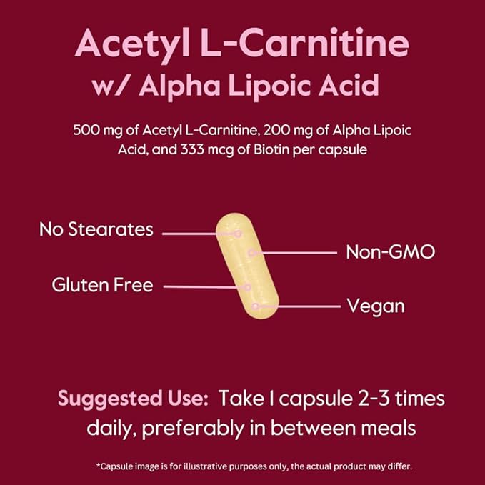 BESTVITE Acetyl L-Carnitine 500mg &amp Alpha Lipoic Acid 200mg per Capsule with Biotin (240 Vegetarian Capsules) (120 x 2) - No Stearates - Vegan - Non GMO - Gluten Free